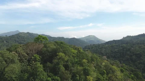 Jungle Mountain Range Flyover, Green Forest Landscape, 4K Aerial Drone Stock Footage 305809104