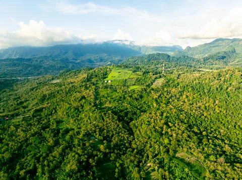 Jungle Mountain Sunset Fotos Stock