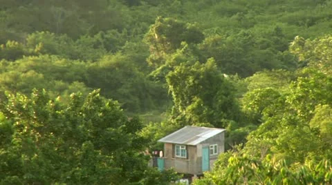 Jungle, Mountains, Negril, Jamaica Stock Footage 22157853