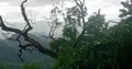 Jungle mountains with trees foreground while raining season in Flores Indonesia 4k or 4k+ Resolution