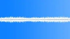 Jungle Night Sound Effect