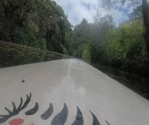Jungle Paddle Board 動画素材 97418276