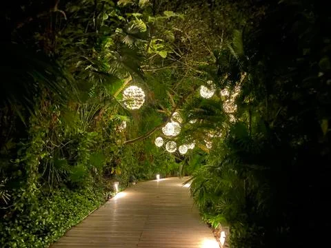 Jungle Path Stock Photos