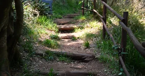 Jungle path, rustic wooden railing. Bench next to path. Video stock 256826010