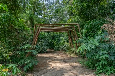 Jungle path with structure and a Monkey Stock Photos