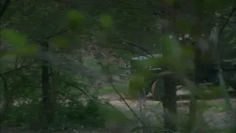 The jungle path of a truck Stock Footage 235278975