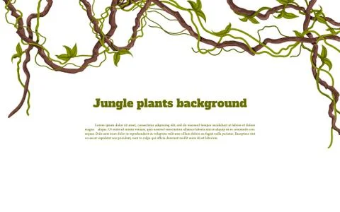 Jungle plants background. Tropical frames. Exotic flora. Rainforest liana 스톡 일러스트