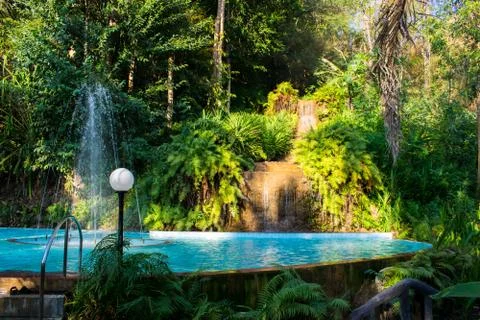 Jungle Pool Forest Stock Photos
