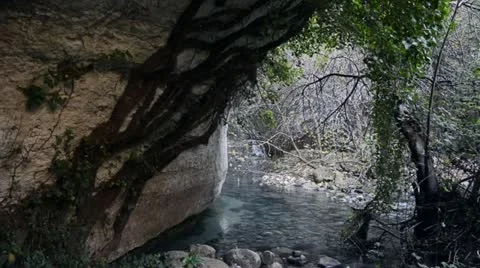 Jungle River 2 Stock-Footage 20434167