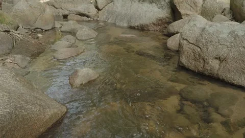 Jungle river between large rocks, loop. Thailand. Stock Footage 332452206