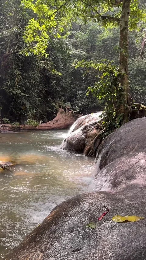 Jungle River Cascading Over Rocks in Lush Rainforest, Vertical Shot Stock Footage 324272485