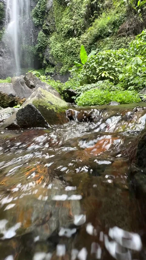 Jungle River Flowing Over Rocks, Cascading Waterfall, Low Angle Vertical Stock Footage 325645239