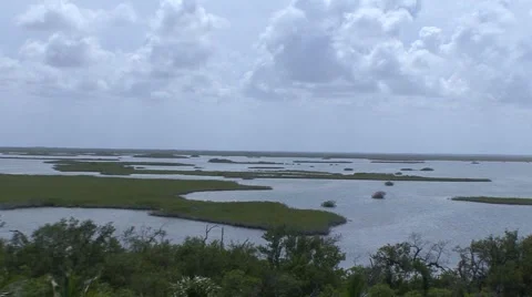 Jungle river Stock Footage 909472