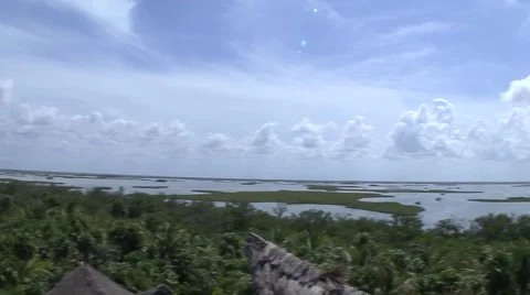 Jungle river Stock Footage 909508