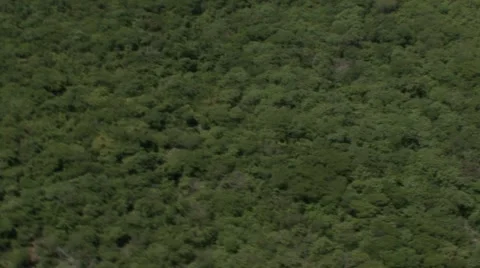 Jungle river Stock Footage 909513