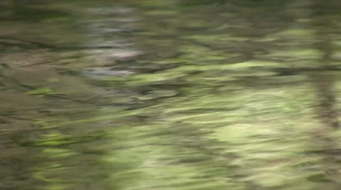 Jungle river Stock Footage 910209