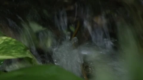 Jungle river Stock Footage 910257