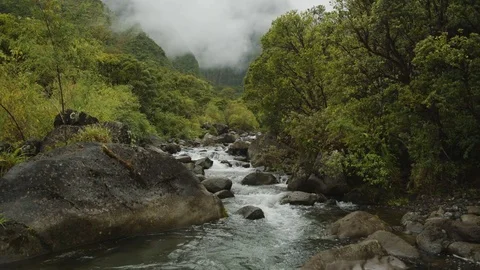 Jungle River Stock Footage 75254567