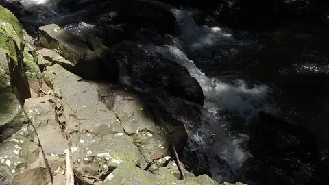 Jungle River Stock Footage 97418451