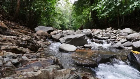 Jungle river Stock Footage 114253468