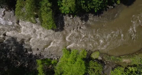 Jungle river Stock Footage 246820663