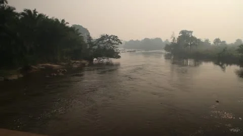 Jungle river with haze Stock Footage 21519670