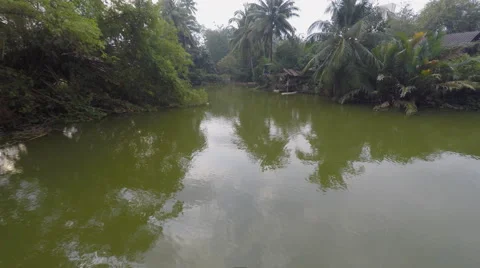 Jungle river hut Stock Footage 48039993