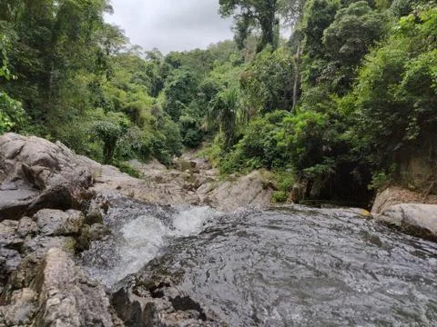 Jungle River Foto stock