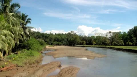 Jungle river, seamless looping Vidéo 8839252