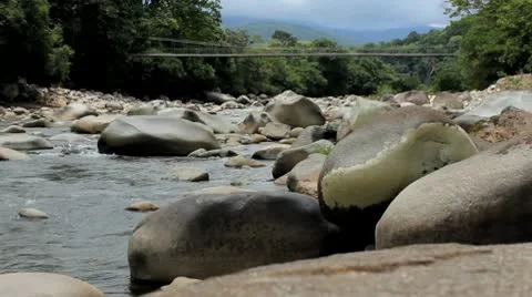 Jungle River with Suspension Bridge Stock Footage 9276451