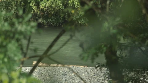 Jungle River Through Canopy, Mount Leuser National Park, Sumatra, Indonesia, HD Stock Footage 141645398