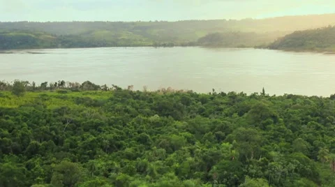 Jungle River Vertical Pan 库存影片 2418012