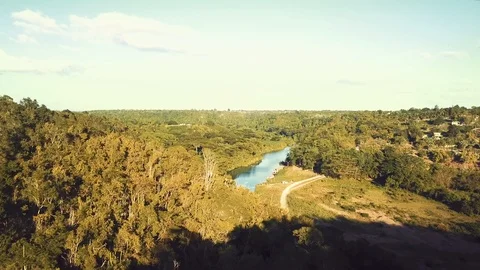 Jungle river view Video stock 100756505