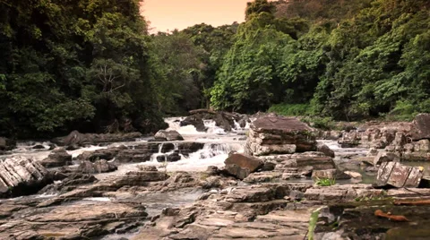 Jungle river wide Vídeos de archivo 35840908