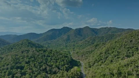 Jungle Road 2 Видео 284953758