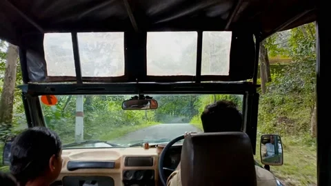 Jungle safari Stock Footage 212095366