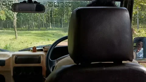 Jungle safari Stock Footage 212097166
