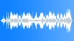 Jungle Sanctuary Stock Music