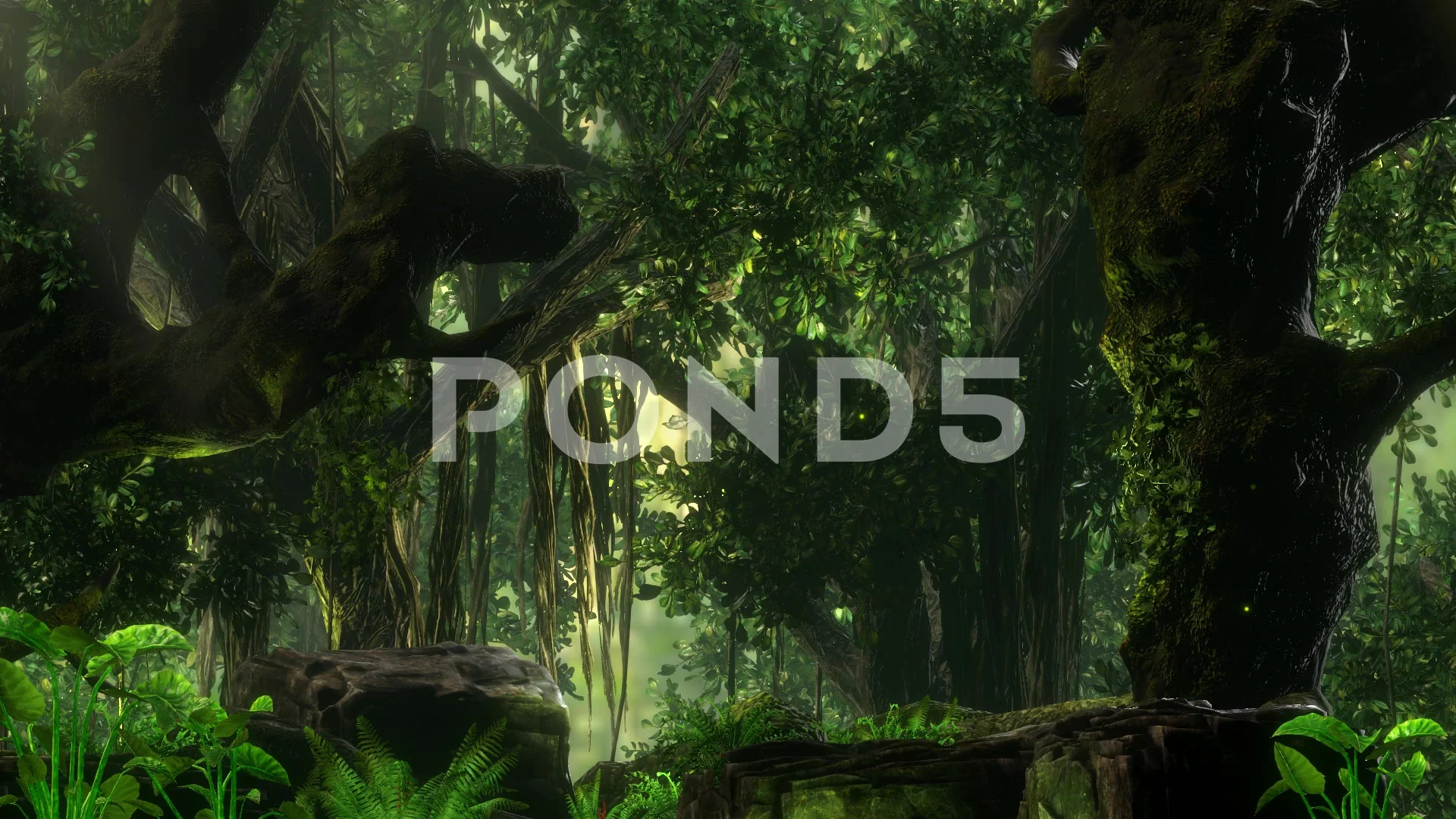 Jungle Scene with Sun Rays Animated Back... | Stock Video | Pond5