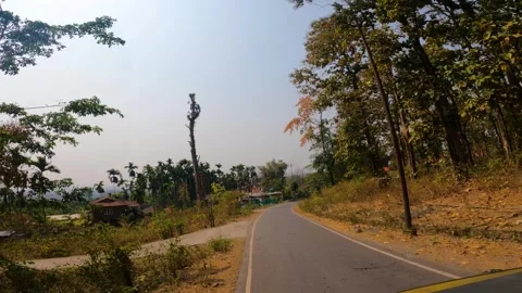 Jungle scenes during Auto Rikshaw going at Buxa Tiger Reserve, India. Stock Footage 272584452