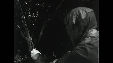 Jungle Setting Trap 1945 Stock Footage 217978612