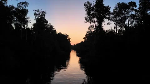 Jungle Silhouettes, Sunset Reflection on River Tanjung Puting, Borneo, Indonesia Stock Footage 346431067