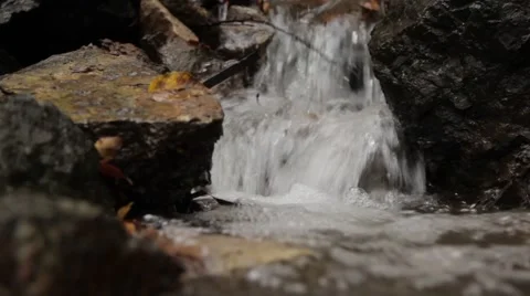 Jungle small waterfall 스톡 동영상 43280881