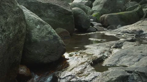 Jungle spring over stone bed during dry seson Stock Footage 332100035