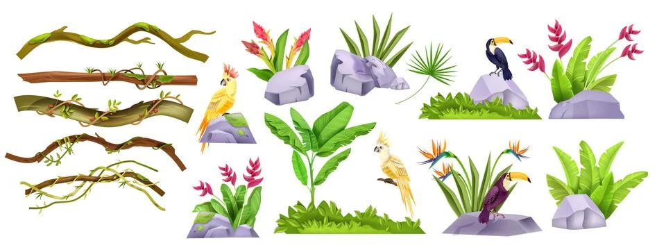 Jungle stone vector object set, exotic plants, liana tropical collection, 스톡 일러스트