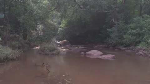 Jungle stream flowing through the forest 库存影片 290476088