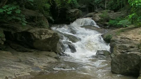 Jungle Stream Stock Footage 11297742