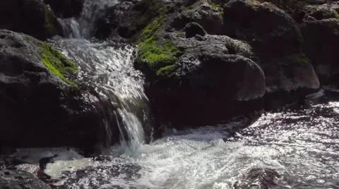 Jungle Stream with Moss Stock Footage 4227000