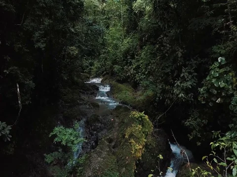 Jungle Stream / River - Drone Shot 2.7K Stock Footage 83496417