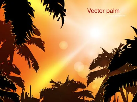 Jungle at sunset Stock Illustration